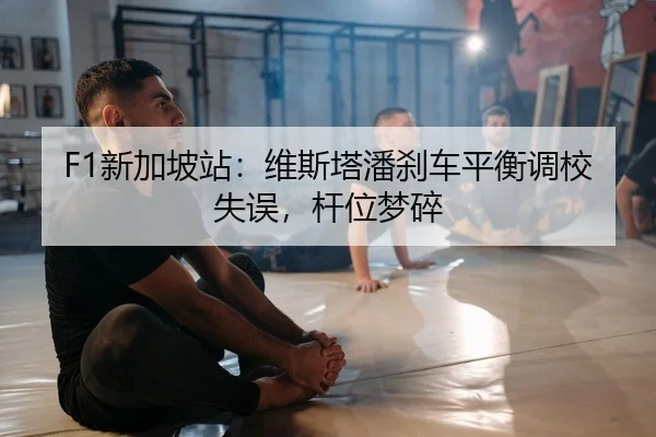 xin-jia-po-zhan-wei-si-ta-pan-sha-che-ping-heng-diao-xiao-shi-wu-gan-wei-meng-sui-2-546.jpg